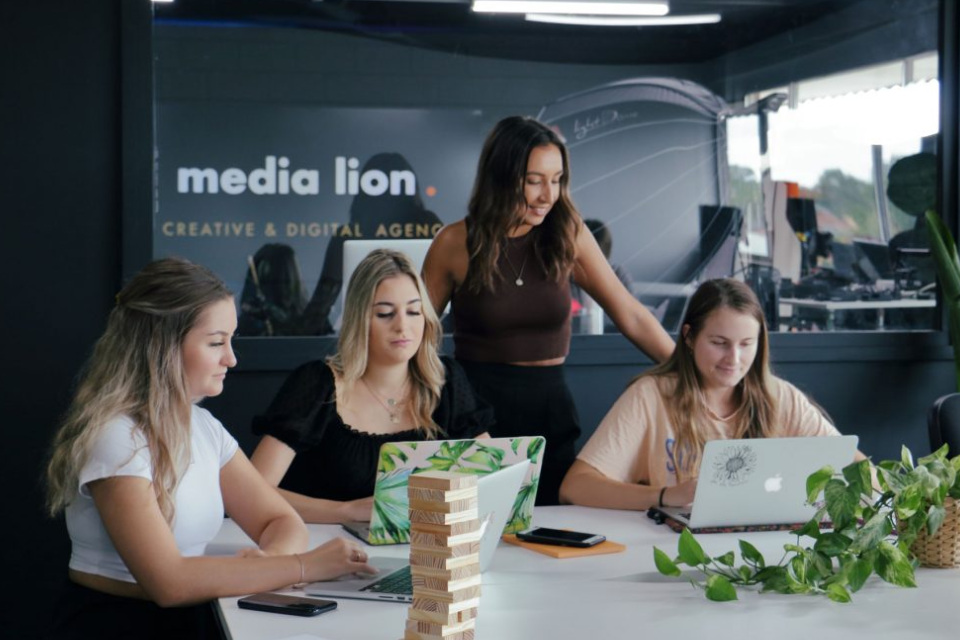 Media Lion Digital Marketing Agency